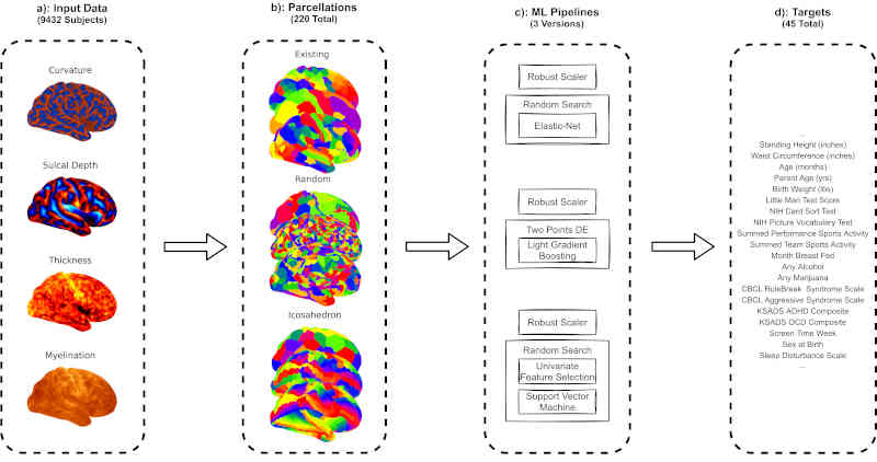 Performance Scaling for Brain Parcellations