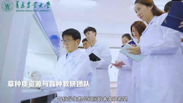 欢迎报考伟德国际唯一官网入口